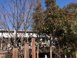 カフェアンドレストラン バスティーユ外観