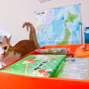 もち吉福袋はどっさりはいってた