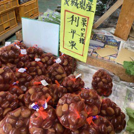 秋の味覚盛りだくさんの茨城！こちらは茨城でも人気の栗「利平栗」