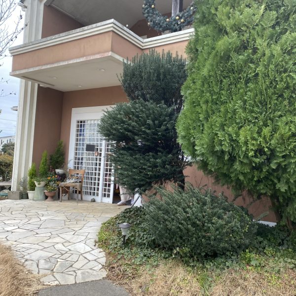 カフェどしっぽなのお外