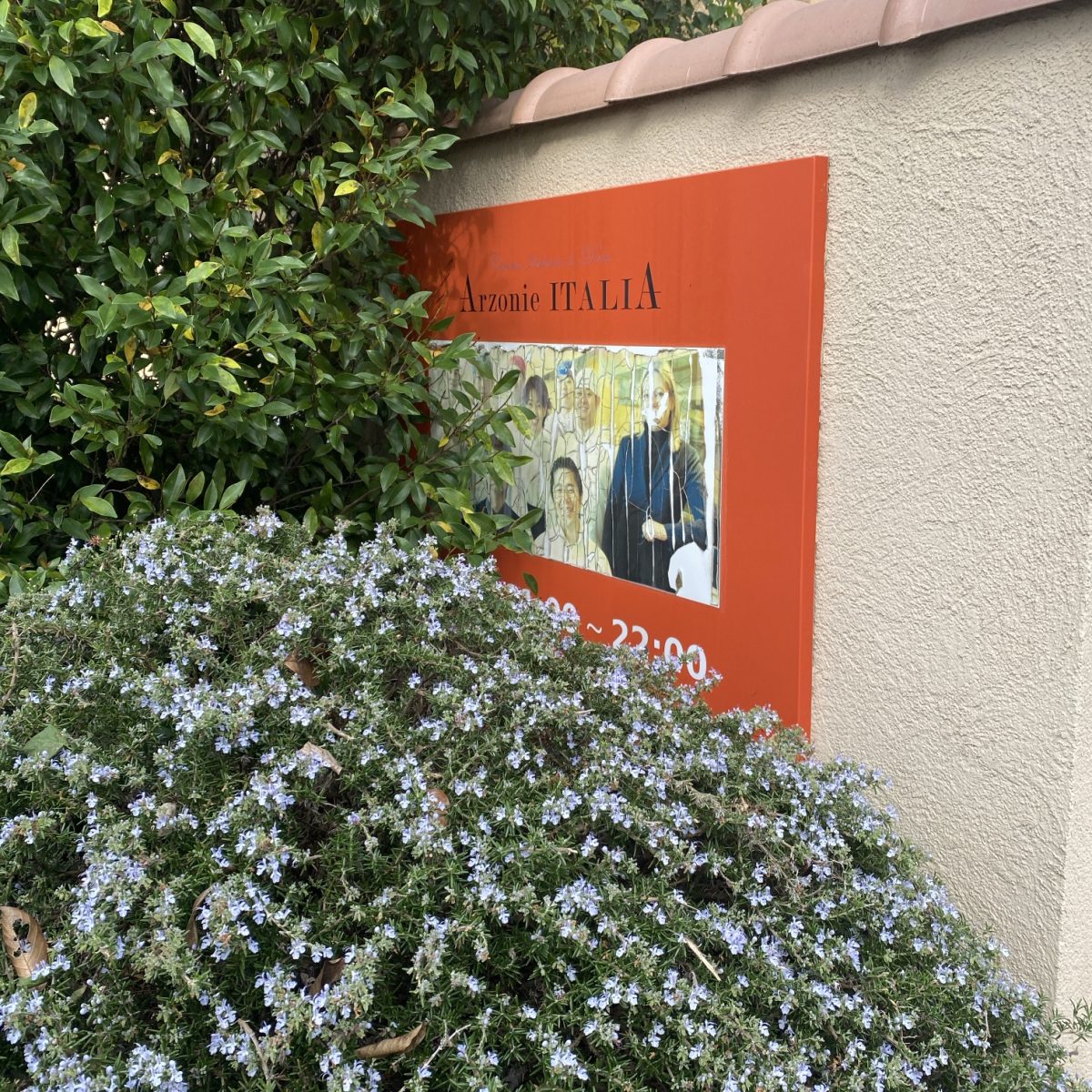 つくばにある アルゾーニ イタリア