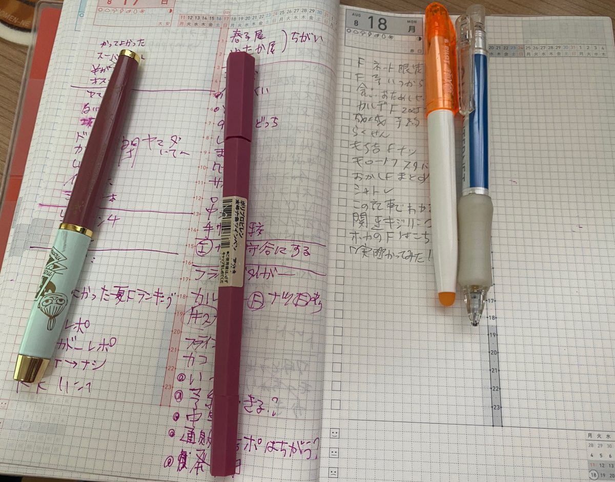 使ってみたら意外と書き込むことが多かった自部手帳days