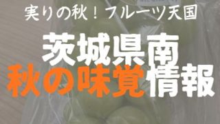 茨城県南の秋の味覚情報をまとめた