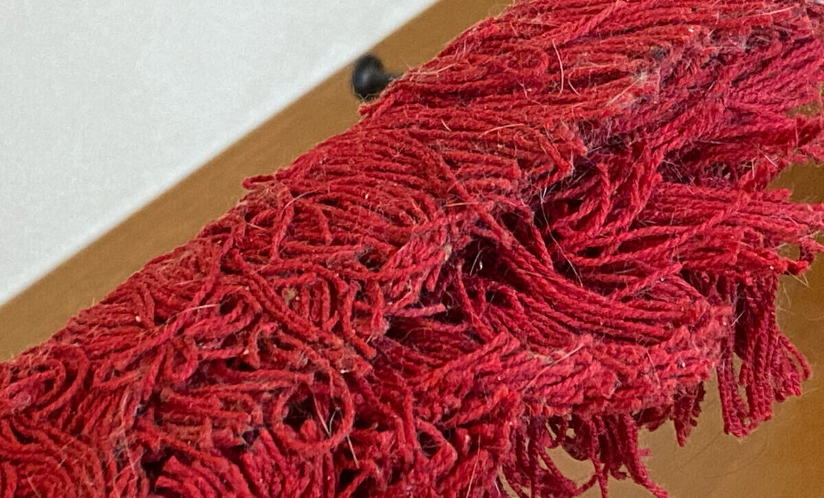 猫の毛とかほこりがめっちゃとれる