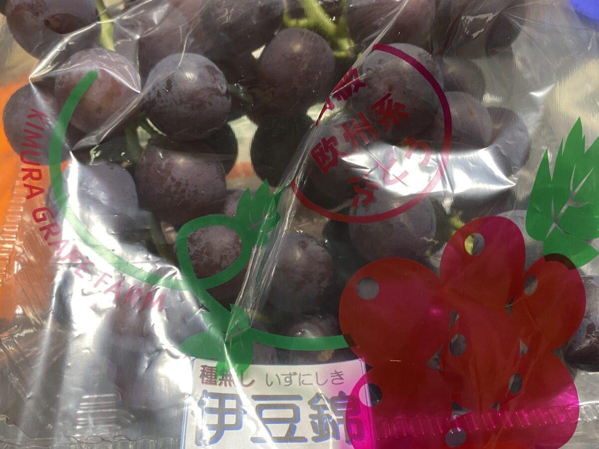 木村ブドウ園で買ったぶどう