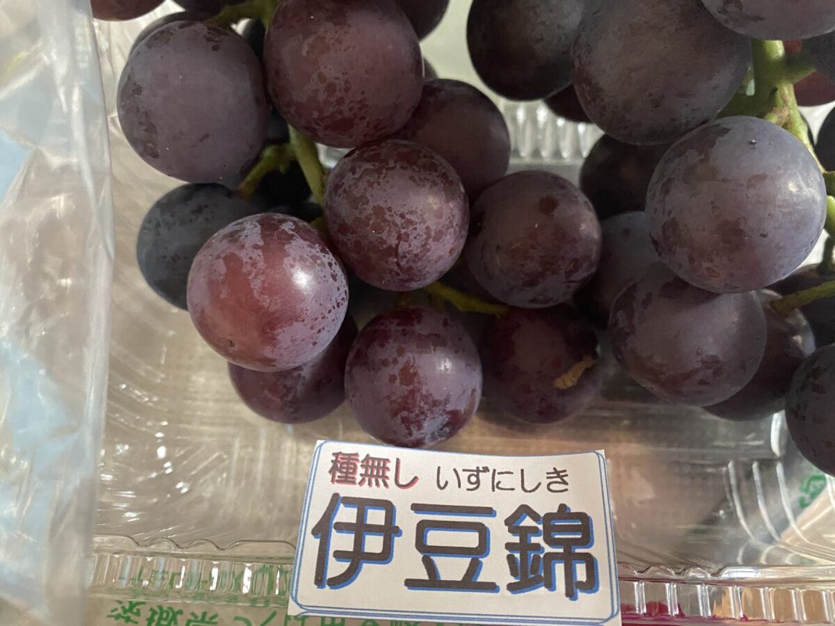 つくばで買ってきた伊豆錦