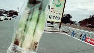 さんふれ蓮の里