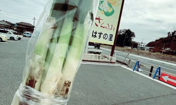 さんふれ蓮の里