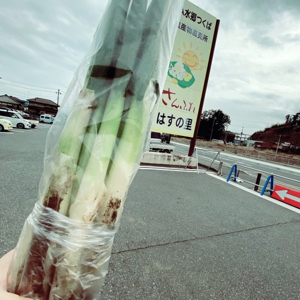 さんふれ蓮の里