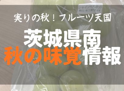 茨城県南の秋の味覚情報をまとめた
