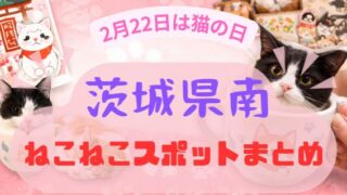 茨城県南のねこねこスポット